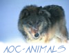 aoc animals