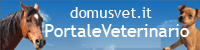 Domus Vet