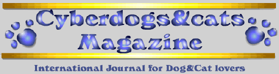 cyberdogs&cats magazine