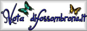 Vota il nostro sito web !