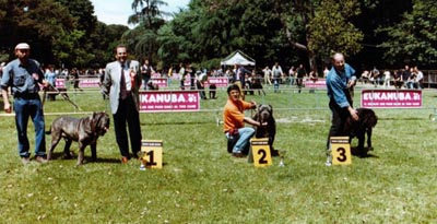 Trofeo mario querci