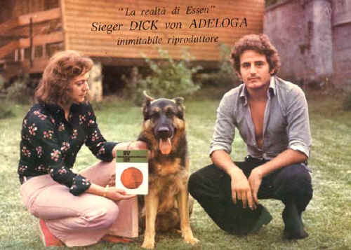 Ricky Sgroi