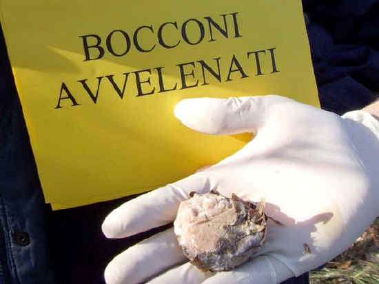 bocconi avvelenati