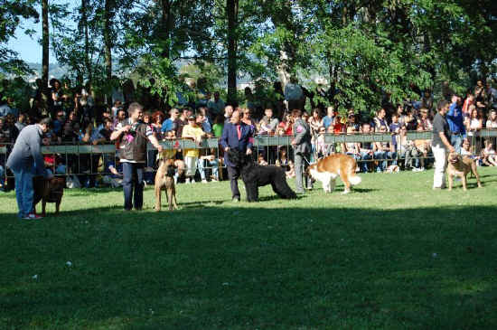 presentazione nel ring