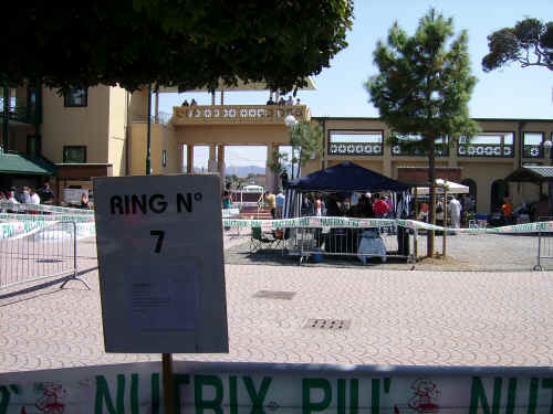ring esposizione di Livorno 2006