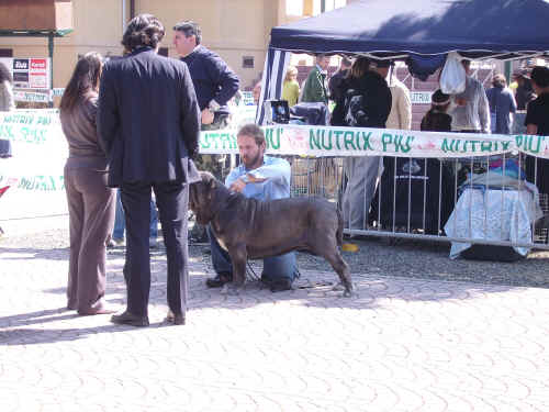 esposizione di Livorno 2006