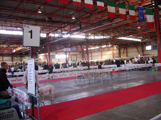 Expo ancona 2007