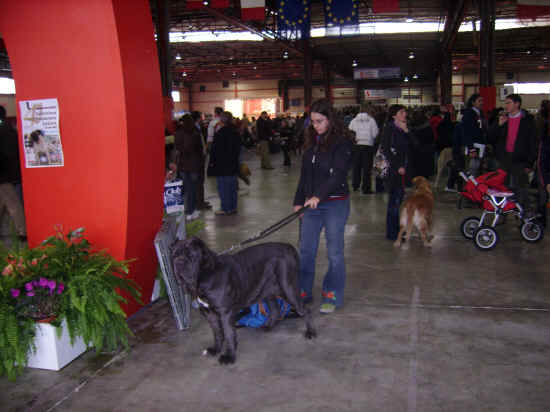 Expo ancona 2007