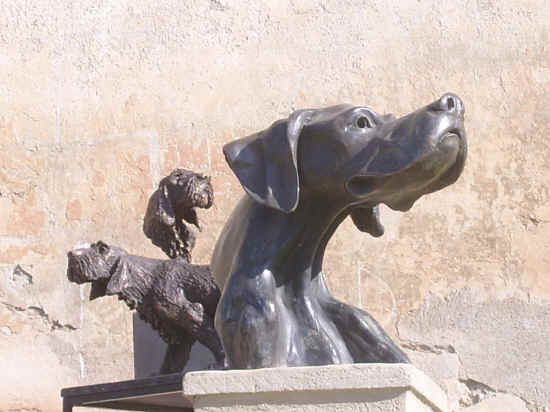 esposizione canina di bologna