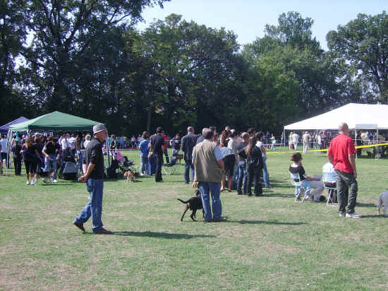 Esposizione canina nazionale di bologna 2007