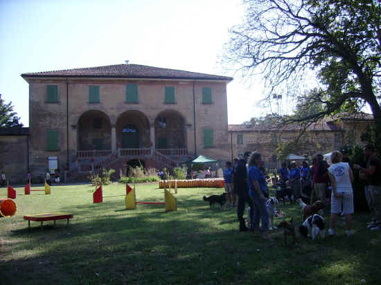 Esposizione canina nazionale di bologna 2007