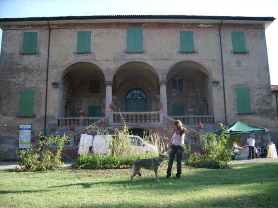 Esposizione canina nazionale di bologna 2007