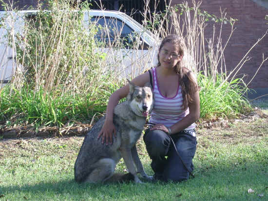 Esposizione canina nazionale di bologna 2007