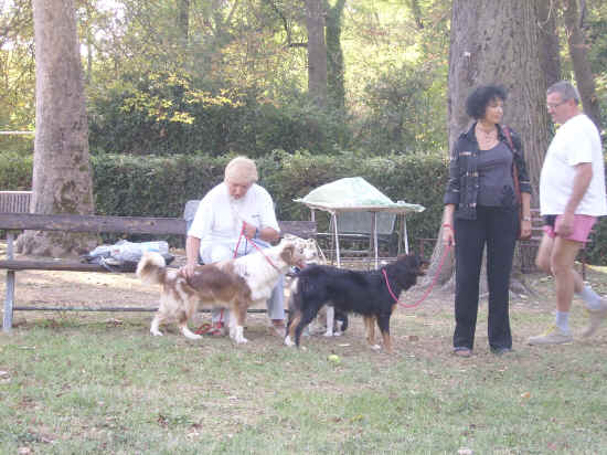 Esposizione canina nazionale di bologna 2007