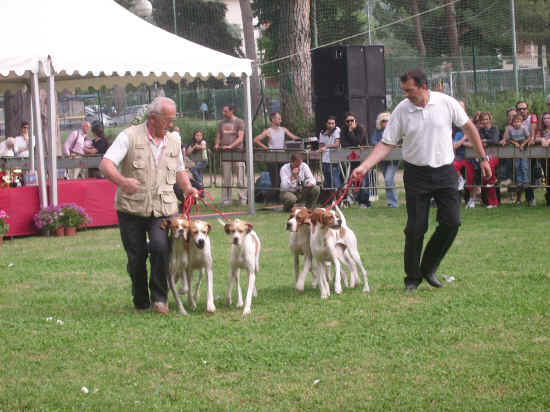 esposizione internazionale canina di Firenze 2007