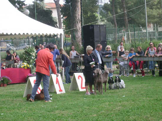 esposizione internazionale canina di Firenze 2007