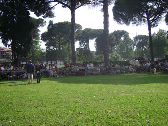 esposizione internazionale canina di Firenze 2007