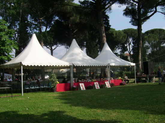 esposizione internazionale canina di Firenze 2007