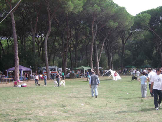 Esposizione nazionale di Pisa 2007