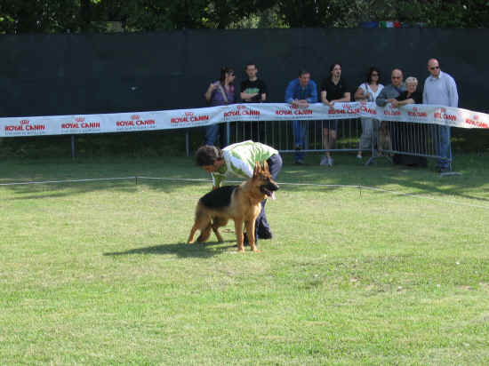 Trofeo Walter Gorrieri 2007