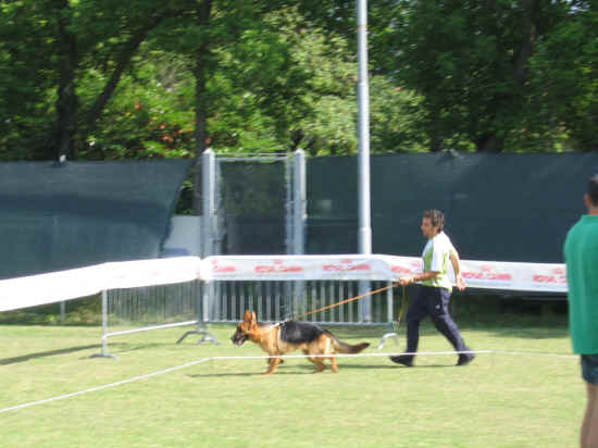 Trofeo Walter Gorrieri 2007