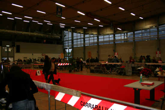 Esposizione nazionale di Massa Carrara 2008