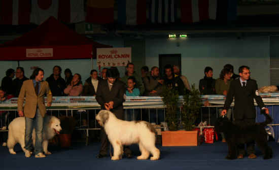 Internazionale di Firenze Arezzo 2008