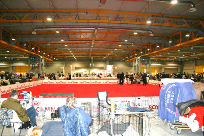 internazionale di CREMONA 2012