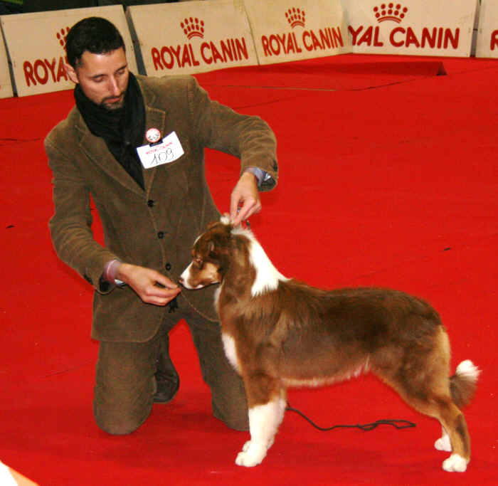 Esposizione Internazionale di CREMONA 2012