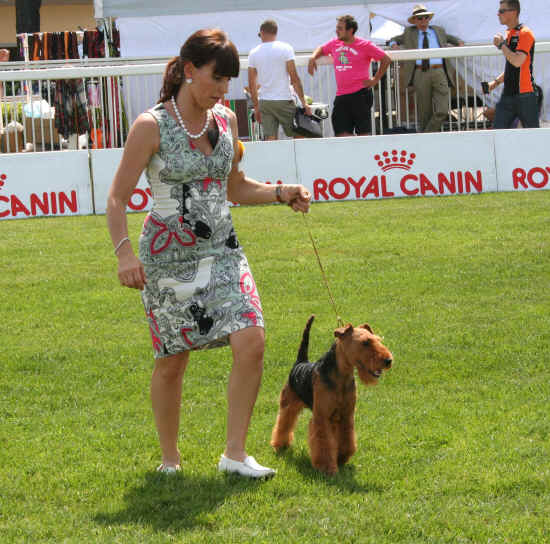 Esposizione Canina di Pisa 2012