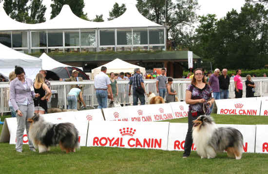 Esposizione Canina di Pisa 2012