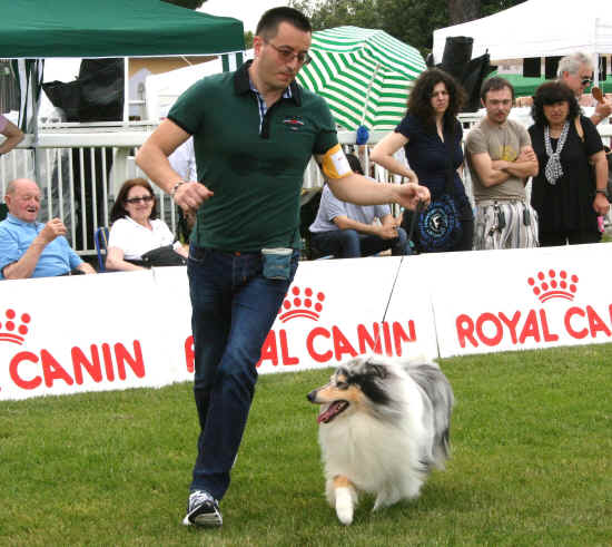 Esposizione Canina di Pisa 2012