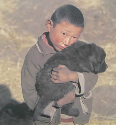 nomadi tibetani
