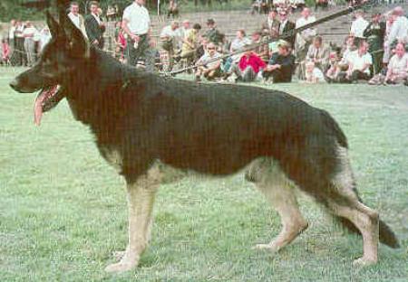 Bodo Lierberg