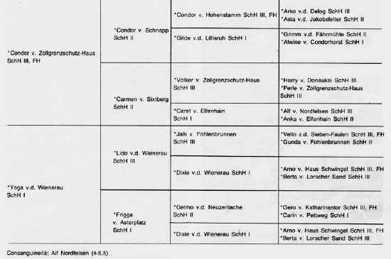 genealogia quanto von der wienerau