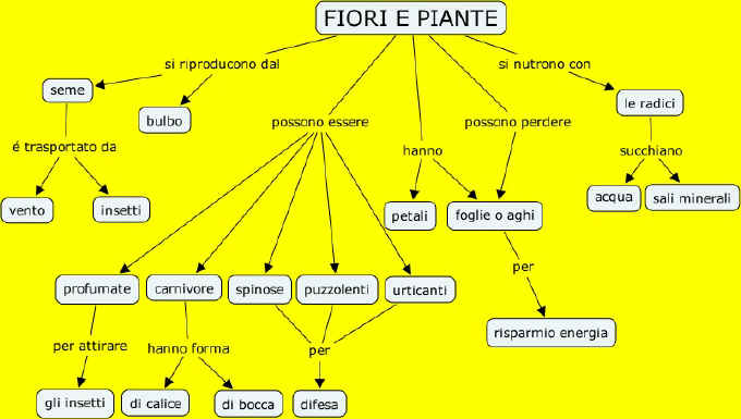 fiori & piante