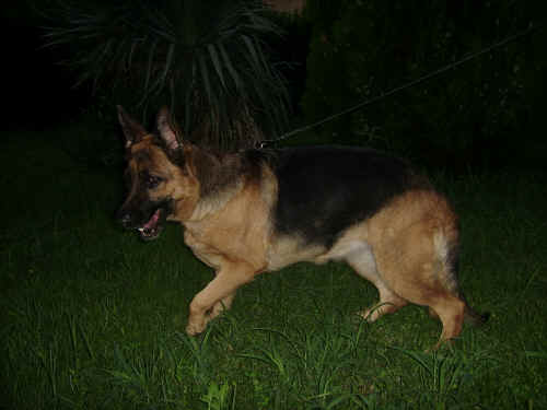atassia
