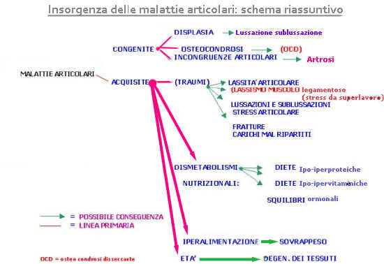 schema Pareschi