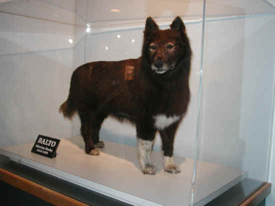 balto