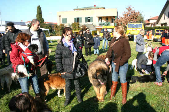 fiera di sant'antonio abate