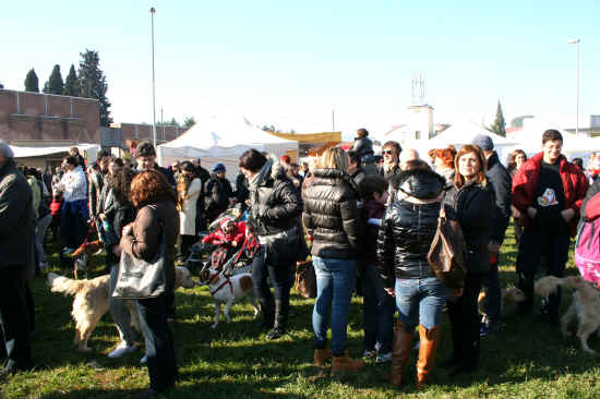 fiera poggio a caiano