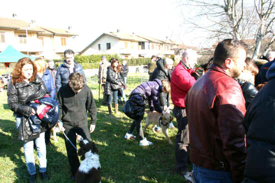 benedizione animali