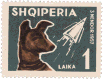 laika