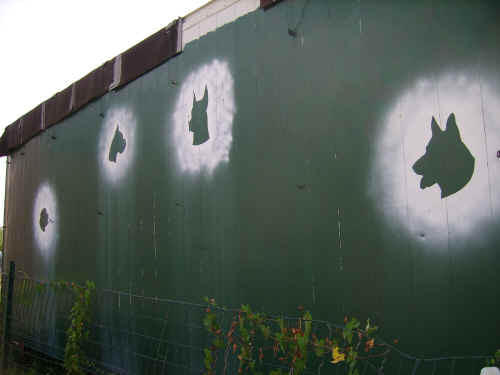 murales cani