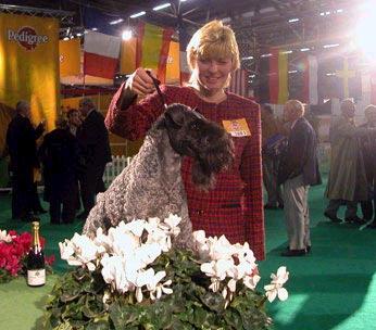 european dog show 2002