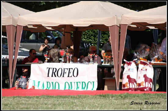 TROFEO MARIO QUERCI 2011 - Prato