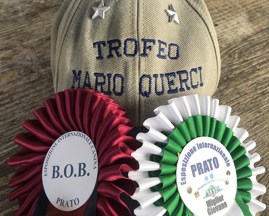 Trofeo Mario Querci 2019