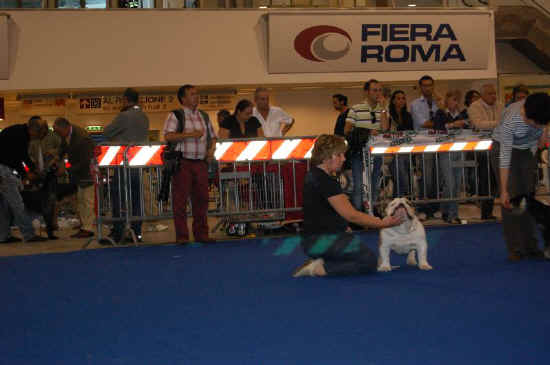 Internazionale di Roma 2008