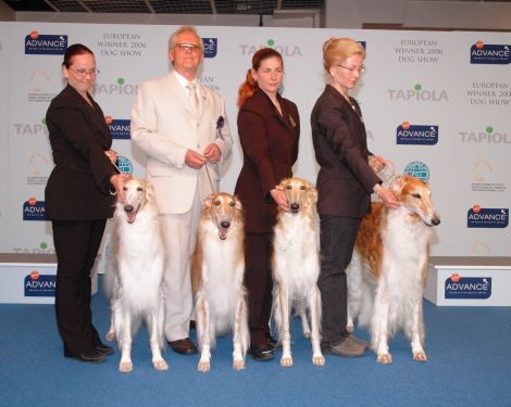Best breeder's groups helsinki 2006