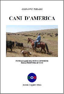 cani d'america